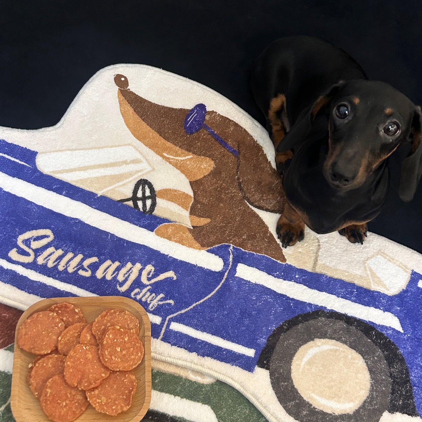 Original Design For The Surrounding Area Of Dachshund Dog, Floor Mat For Entering Households, Anti Slip And Absorbent Carpet