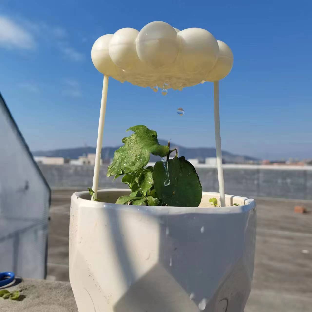 Irrigador de nube de lluvia para riego de plantas de jardín