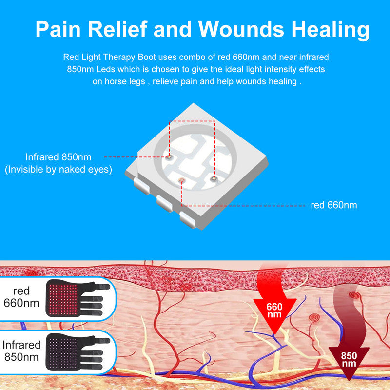 Portable Phototherapy For Horse Legs